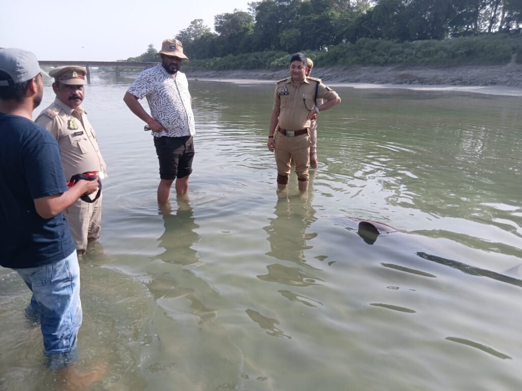 UP News: शारदा नहर में मिली मादा और बच्चे डॉल्फिन की मौत, हीट स्ट्रोक की आशंका 2 WhatsApp Image 2026 05 22 at 00.21.06