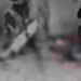 Lucknow News: लखनऊ में रोंगटे खड़े कर देने वाली वारदात! कुत्ते को पटक कर मारा, फिर चाकू से रेता गला, कांप जाएगी रूह 2 WhatsApp Image 2026 05 26 at 17.01.35