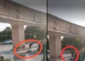 Lucknow Viral Video: गिड़गिड़ाती रही पत्नी, बच्चा रोता रहा… जनेश्वर मिश्र पार्क में गार्डों की 'बेरहमी' का VIDEO वायरल 11 WhatsApp Image 2026 05 28 at 11.03.15 3