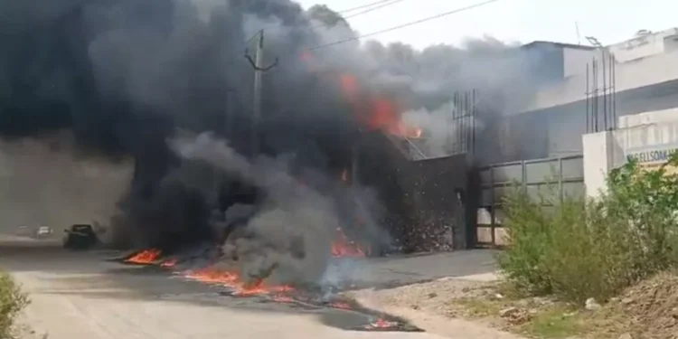 Bhiwadi Factory Fire: राजस्थान के भिवाड़ी की दो फैक्ट्रियों में भीषण आग, पांच कर्मचारी झुलसे 1 WhatsApp Image 2026 06 04 at 1.45.08 PM 1