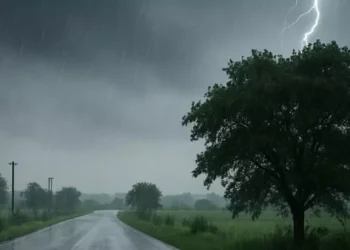 UP Weather Update: अगले 24 घंटे बेहद भारी! इन जिलों में आज मूसलाधार वर्षा, आंधी और बिजली का 'डबल अलर्ट' 17 WhatsApp Image 2026 06 30 at 14.22.15 9