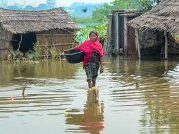 image 800x450 649ba1a2eaea5 258