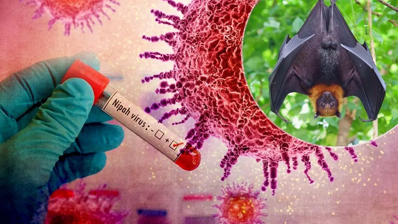 Kerala News : एक नए वायरस ने ली एंट्री! निपाह वायरस से अब तक दो की मौत, क्या हैं निपाह वायरस के लक्षण ?
